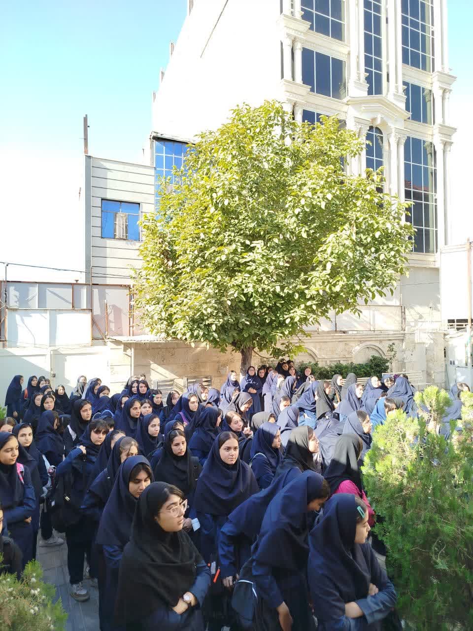 تصویر مقاله